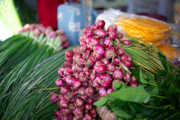 Voyage sensoriel autour des spécialités culinaires du monde